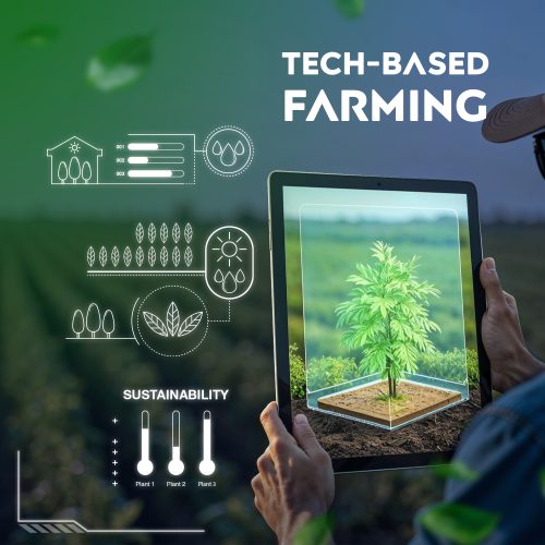 Expanded tech-based farming programs backed by PH lawmaker